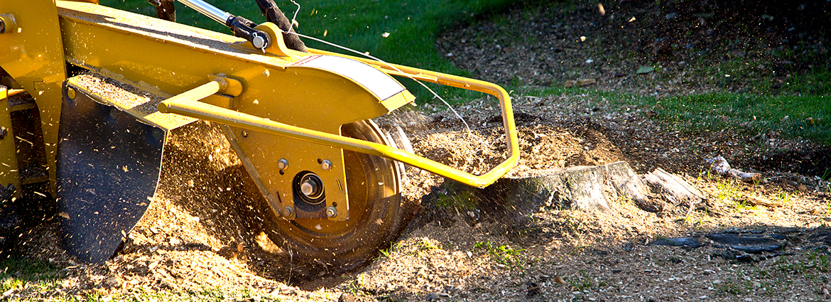 NC Stump Removal